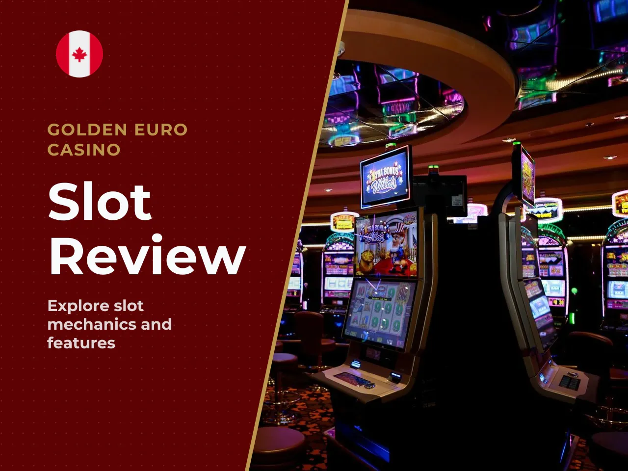 Bets, Spins, and Winning Combinations. The