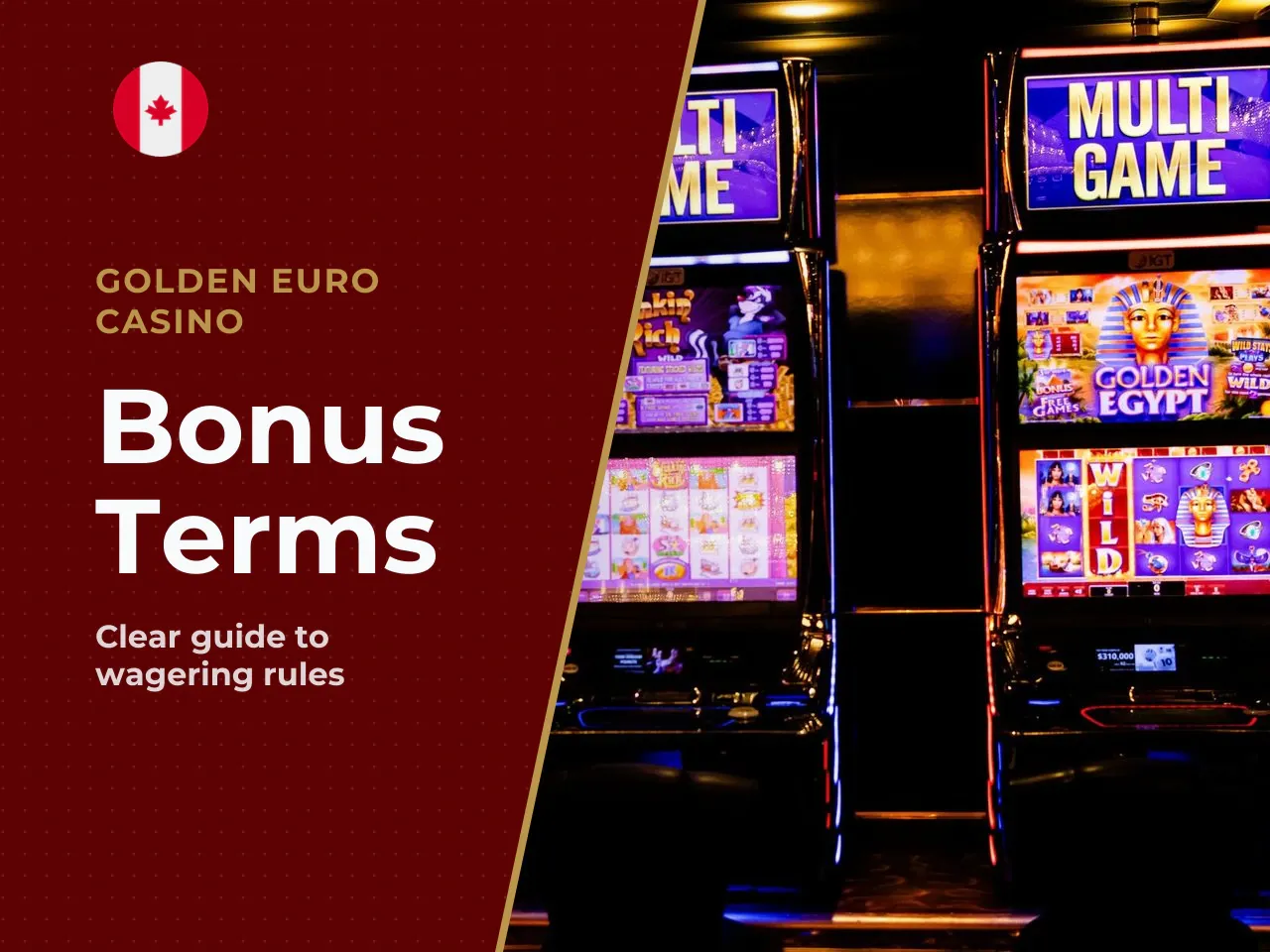 Bonus Terms in Plain English A