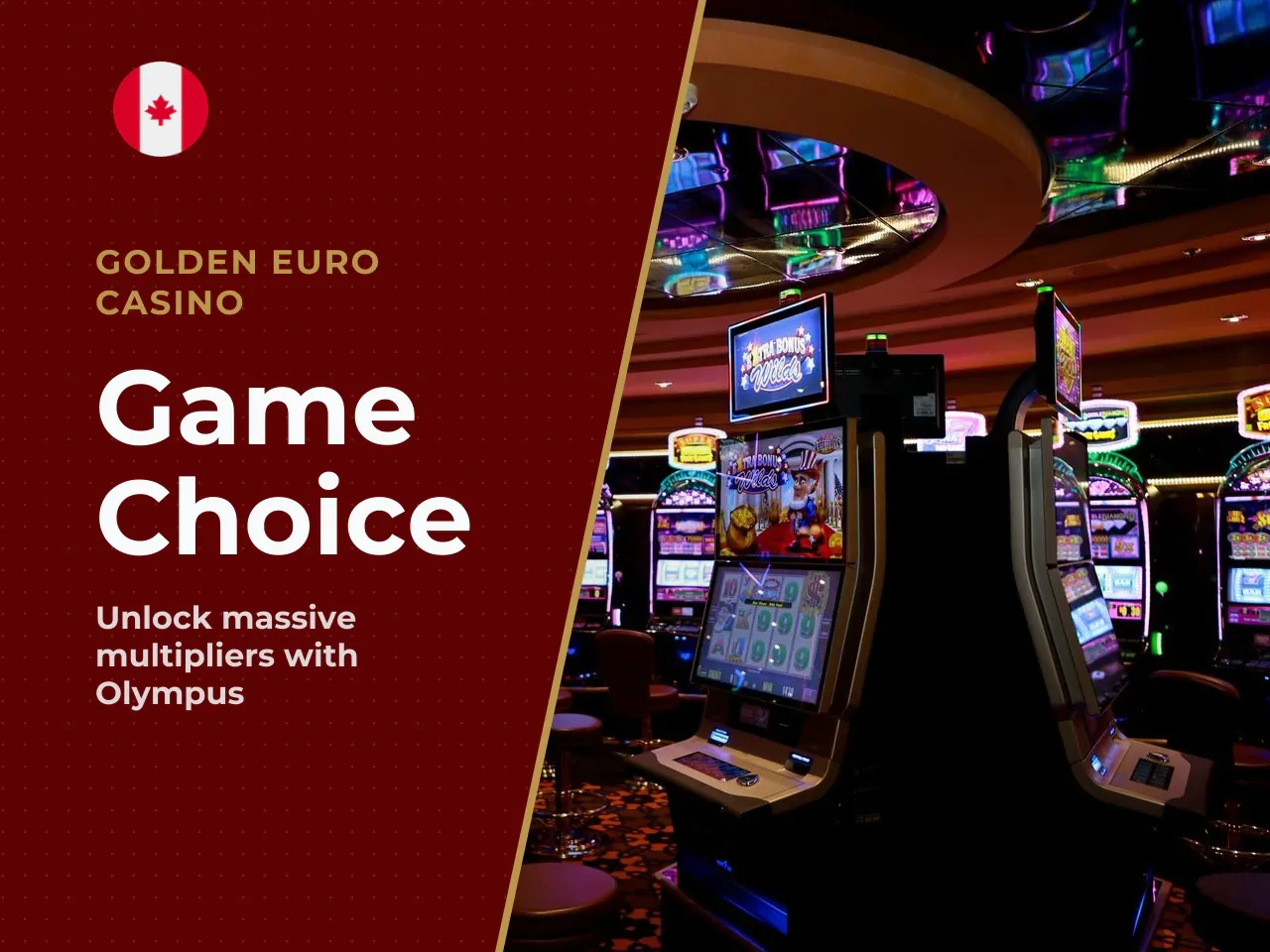 Which should you choose - Choose