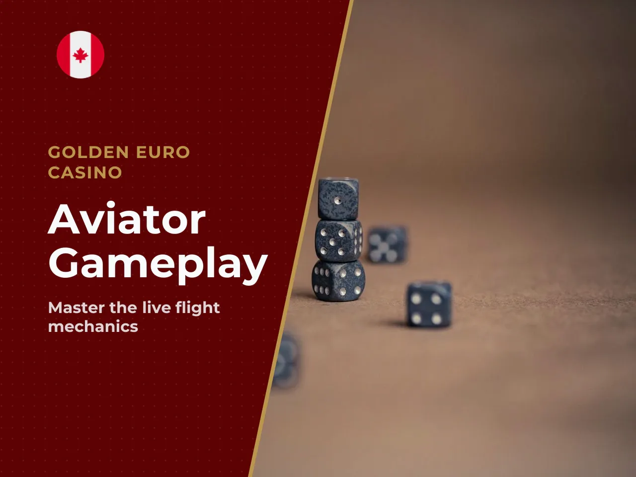 - Centre field. The animated flight